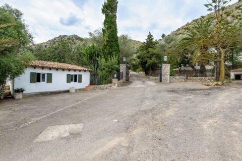 Herregård i Pollenca, Mallorca, Pollenca - € 3 500 000 | Ref: 1130 - foto 27