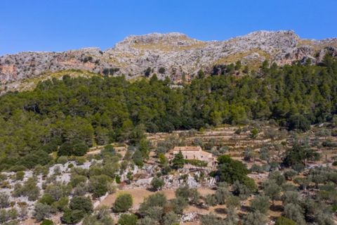 Masia a Pollenca, Mallorca, Pollenca - € 5.400.000 | Ref: 2173 - foto 3