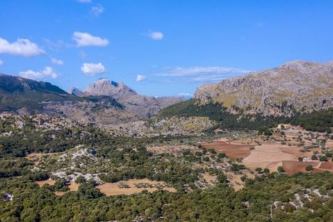 Masia a Pollenca, Mallorca, Pollenca - € 5.400.000 | Ref: 2173 - foto 4