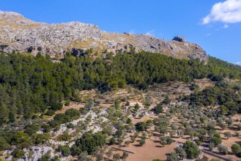 Masia a Pollenca, Mallorca, Pollenca - € 5.400.000 | Ref: 2173 - foto 5