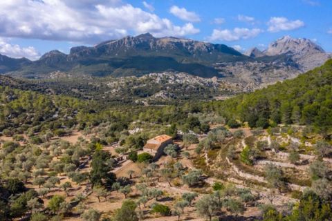 Masia a Pollenca, Mallorca, Pollenca - € 5.400.000 | Ref: 2173 - foto 20