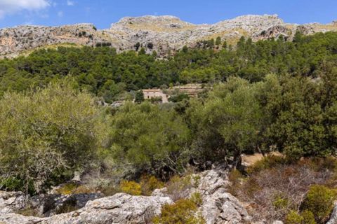 Masia a Pollenca, Mallorca, Pollenca - € 5.400.000 | Ref: 2173 - foto 21