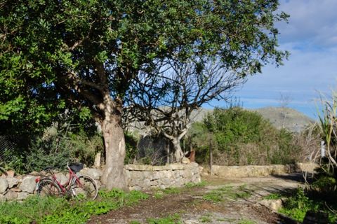 Landejendom i Pollenca, Mallorca, Pollenca - € 1.200.000 | Ref: 2225 - foto 2