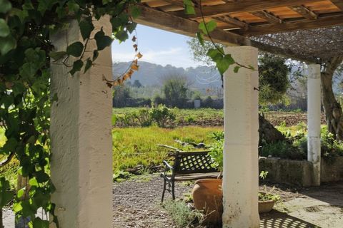 Landejendom i Pollenca, Mallorca, Pollenca - € 1.200.000 | Ref: 2225 - foto 13