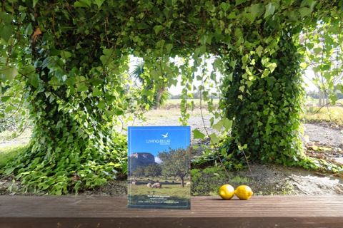 Landejendom i Pollenca, Mallorca, Pollenca - € 1.200.000 | Ref: 2225 - foto 14