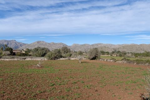 Landejendom i Pollenca, Mallorca, Pollenca - € 1.200.000 | Ref: 2225 - foto 16