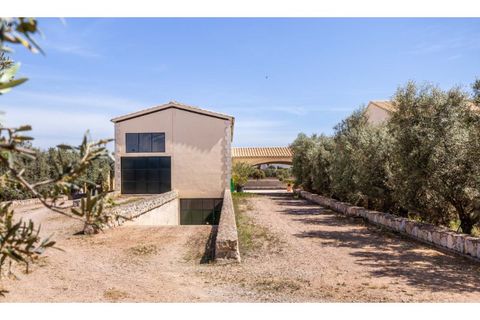 Landejendom i Son Ferriol, Mallorca, Son Ferriol - € 2.035.000 | Ref: 1687 - foto 14