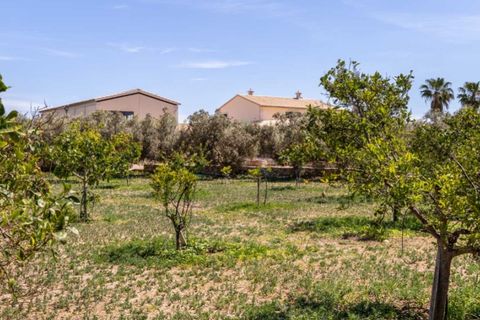 Landejendom i Son Ferriol, Mallorca, Son Ferriol - € 2.035.000 | Ref: 1687 - foto 15