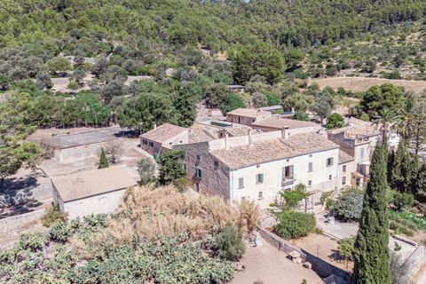 Landejendom i Binissalem, Mallorca, Binissalem - € 4.500.000 | Ref: 0858 - foto 17