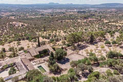 Landejendom i Binissalem, Mallorca, Binissalem - € 4.500.000 | Ref: 0858 - foto 22