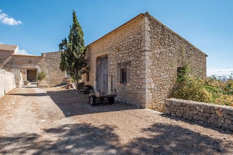 Landejendom i Binissalem, Mallorca, Binissalem - € 4.500.000 | Ref: 0858 - foto 23