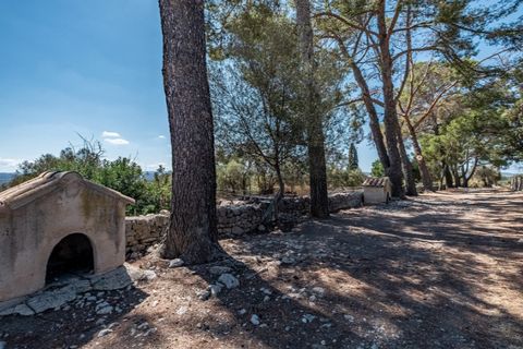 Landejendom i Binissalem, Mallorca, Binissalem - € 4.500.000 | Ref: 0858 - foto 24