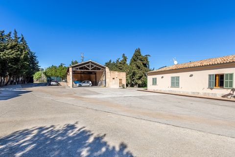Landejendom i Alaro, Mallorca, Alaro - € 3.400.000 | Ref: 0874 - foto 10