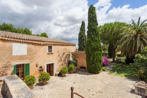 Landejendom i Binissalem, Mallorca, Binissalem - € 5.500.000 | Ref: 0518 - foto 16