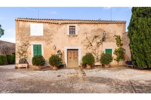 Landejendom i Binissalem, Mallorca, Binissalem - € 5.500.000 | Ref: 0518 - foto 17