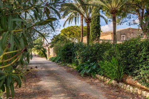 Landejendom i Binissalem, Mallorca, Binissalem - € 5.500.000 | Ref: 0518 - foto 20