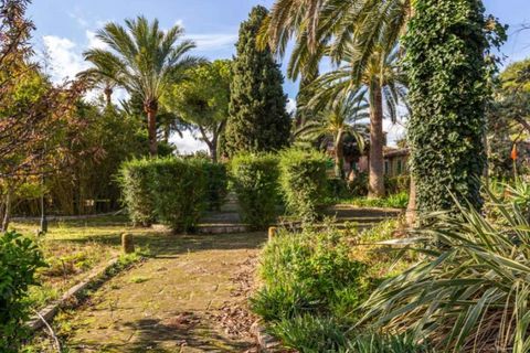 Landejendom i Binissalem, Mallorca, Binissalem - € 5.500.000 | Ref: 0518 - foto 21