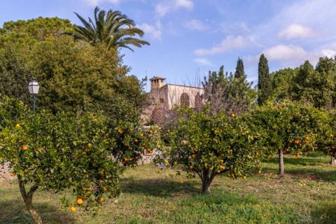 Landejendom i Binissalem, Mallorca, Binissalem - € 5.500.000 | Ref: 0518 - foto 25