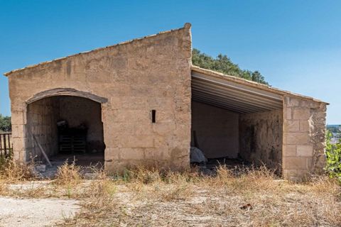 Landejendom i Llubi, Mallorca, Llubi - € 2.500.000 | Ref: 5018 - foto 10