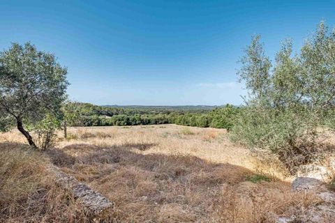 Landejendom i Llubi, Mallorca, Llubi - € 2.500.000 | Ref: 5018 - foto 11