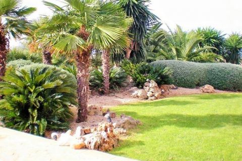 Landejendom i Petra, Mallorca, Petra - € 2.300.000 | Ref: 0488 - foto 2