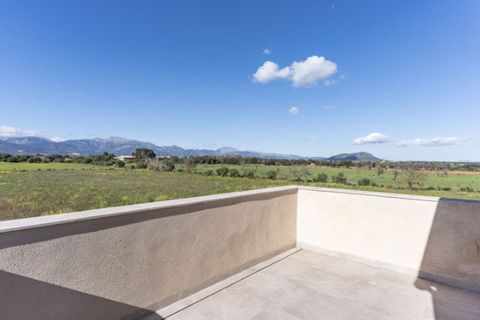 Landejendom i Sencelles, Mallorca, Sencelles - € 3.500.000 | Ref: 4484 - foto 13