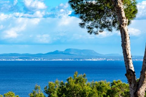 Villa a Sol De Mallorca, Mallorca, Sol De Mallorca - € 2.350.000 | Ref: 7019 - foto 21