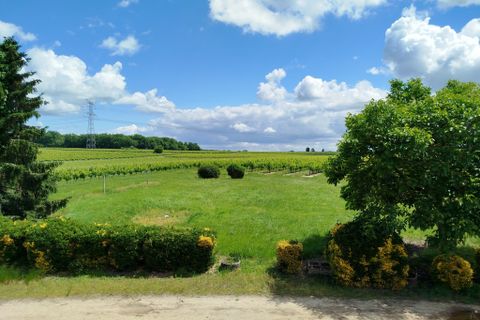 Villa i Caplong, Gironde, Caplong - € 225.000 | Ref: 36027 - foto 23