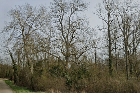 Terra a Saint-Florentin, Yonne, Saint-Florentin - € 8.000 | Ref: 36032 - foto 3