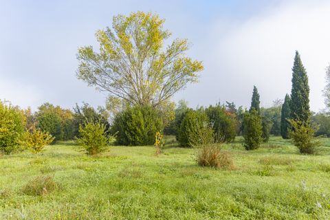 Villa i Prato, Prato, Prato - € 730.000 | Ref: ILV64844 - foto 7