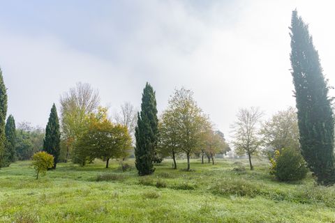 Villa i Prato, Prato, Prato - € 730.000 | Ref: ILV64844 - foto 8