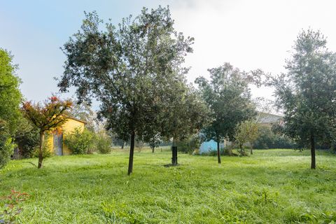Villa i Prato, Prato, Prato - € 730.000 | Ref: ILV64844 - foto 12