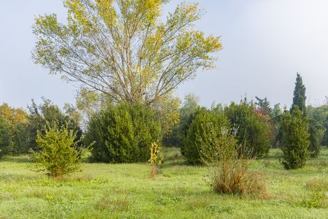 Villa i Prato, Prato, Prato - € 730.000 | Ref: ILV64844 - foto 44