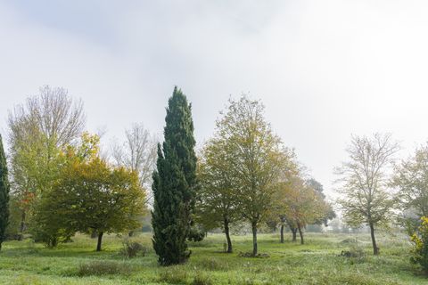 Villa i Prato, Prato, Prato - € 730.000 | Ref: ILV64844 - foto 45