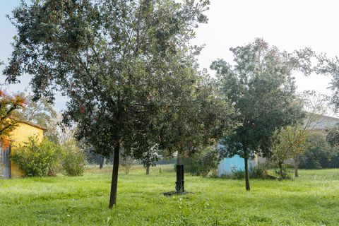 Villa i Prato, Prato, Prato - € 730.000 | Ref: ILV64844 - foto 49