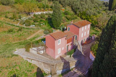 Villa a Pescia, Pistoia, Pescia - € 2.200.000 | Ref: ILV82850 - foto 14