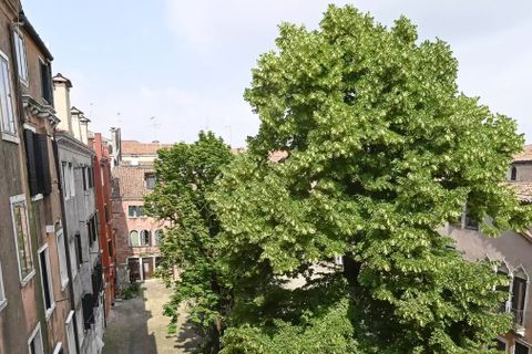 Leilighet i Venice, Venice, Venice - € 3 500 000 | Ref: ILV82994 - foto 28