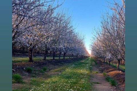Farm hus i Evora, Evora, Evora - € 650.000 | Ref: C0185-03286 - foto 10