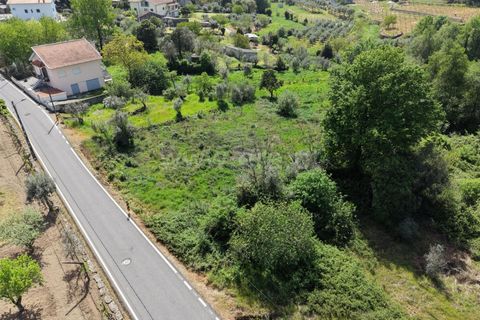 Helårsgrund i Mangualde, Viseu, Mangualde - € 15.000 | Ref: 389260047 - foto 2