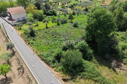Helårsgrund i Mangualde, Viseu, Mangualde - € 15.000 | Ref: 389260047 - foto 3