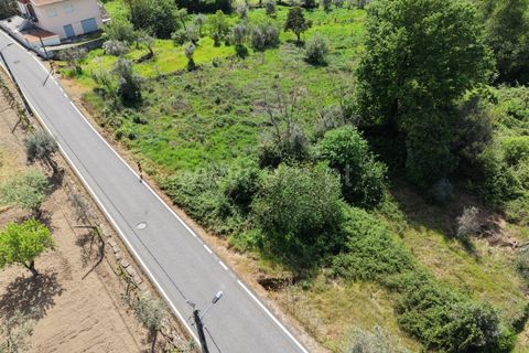 Helårsgrund i Mangualde, Viseu, Mangualde - € 15.000 | Ref: 389260047 - foto 5