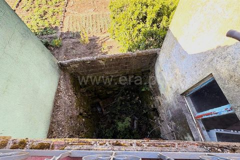 Landsbyhus i Mangualde, Viseu, Mangualde - € 35.000 | Ref: 389260058 - foto 16