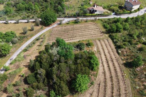 Villa a Penalva do Castelo, Viseu, Penalva do Castelo - € 250.000 | Ref: 389260061 - foto 4