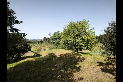 Villa a Penalva do Castelo, Viseu, Penalva do Castelo - € 250.000 | Ref: 389260061 - foto 17
