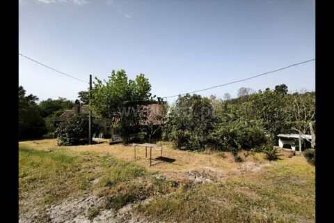 Villa a Penalva do Castelo, Viseu, Penalva do Castelo - € 250.000 | Ref: 389260061 - foto 19