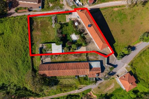 Villa i Alcobaca, Leiria, Alcobaca - € 549.500 | Ref: 1746-02804 - foto 44
