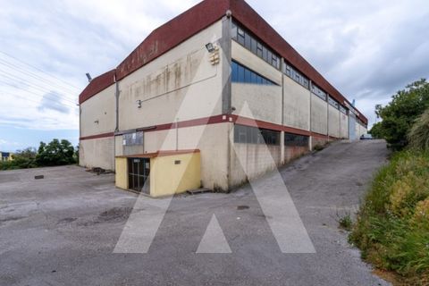 Erhvervsejendom i Barcarena, Lisbon, Barcarena - € 4.250.000 | Ref: 1141401/26LA - foto 6