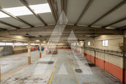 Erhvervsejendom i Barcarena, Lisbon, Barcarena - € 4.250.000 | Ref: 1141401/26LA - foto 12