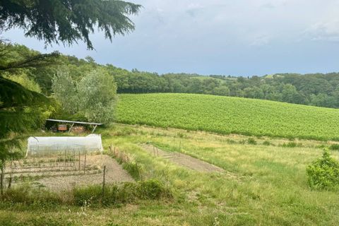 Landejendom i Pontassieve, Florence, Pontassieve - € 1.600.000 | Ref: 002- Rustico Toscano "Monteloro" - foto 22