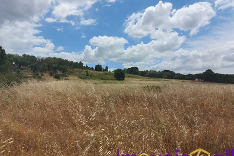 Helårsgrund i Mora, Evora, Mora - € 23.700 | Ref: SV 0226 - foto 3
